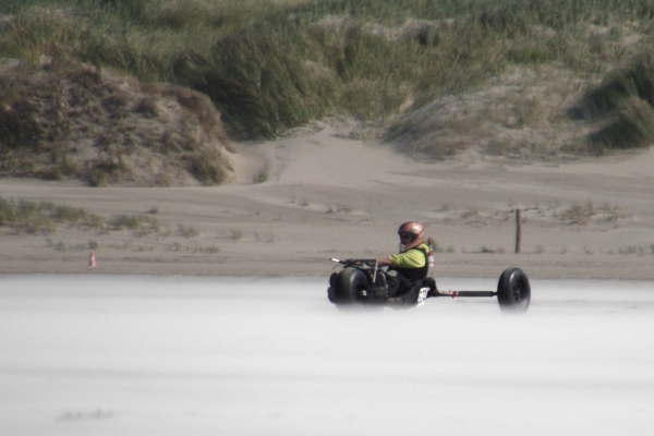 Strandsegler auf Sandwolke - (c) M Mueller.jpg